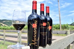 Italian Red 3-Pack Gift Set